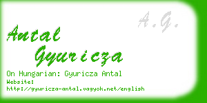 antal gyuricza business card